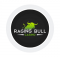 ragingbull-casino-logo